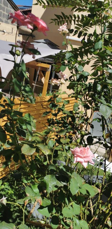 Lyon Superbe Jacuzzi Vue Sur Jardin Apartment Villeurbanne Ngoại thất bức ảnh